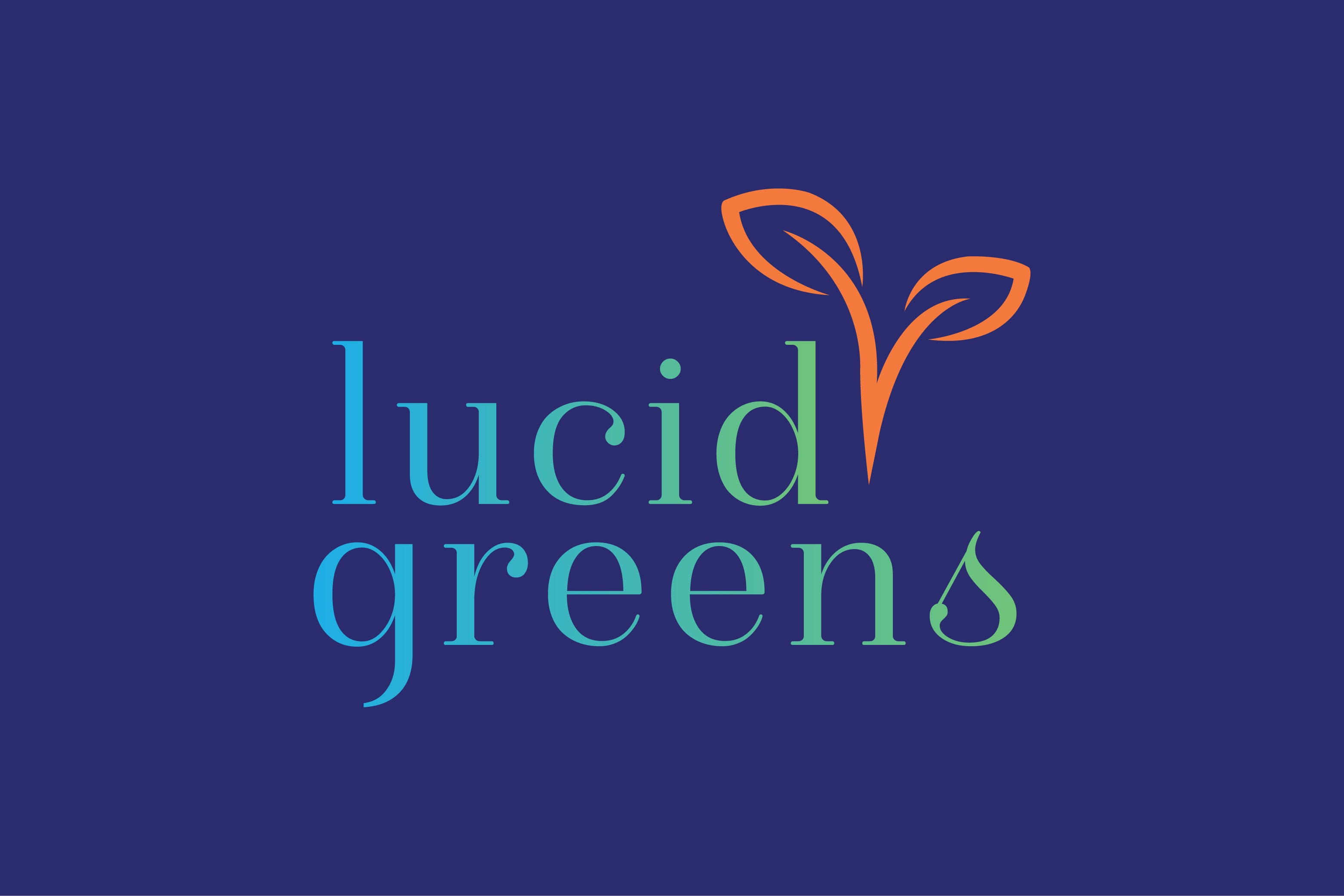 Shop for dreamy houseplants at Lucid Greens