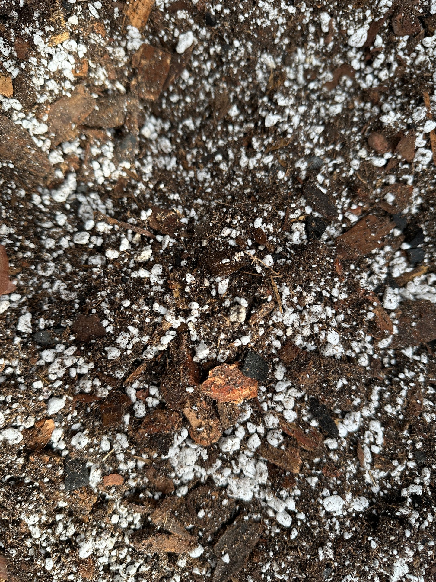 Aroid Potting Mix 9L Bag